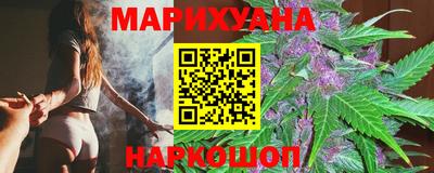 мдпв Новозыбков