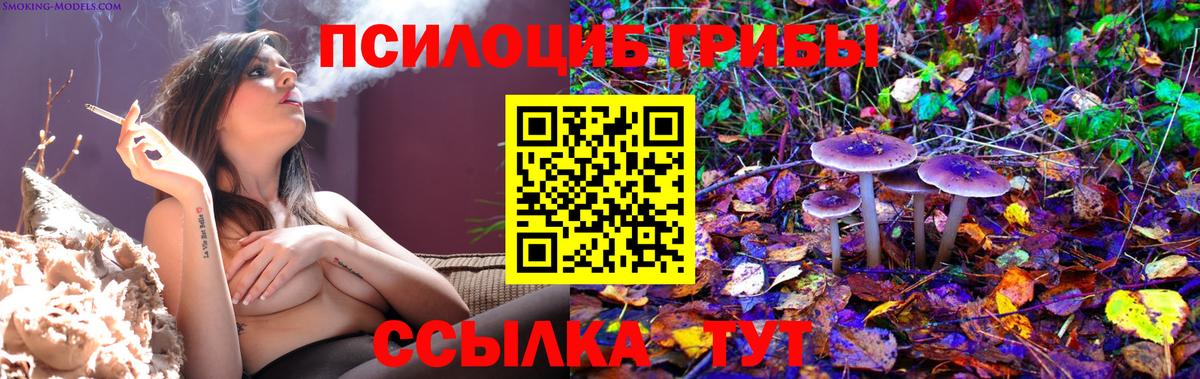 Псилоцибиновые грибы ЛСД Чебаркуль